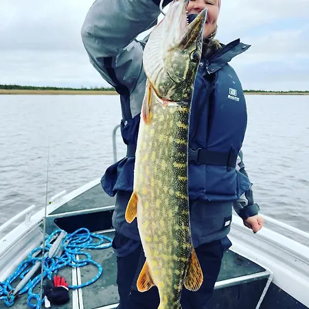 Kamp alanı Lounaranna Harbour