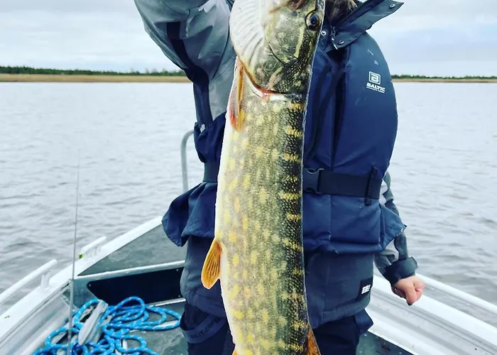 캠프장 Lounaranna Harbour